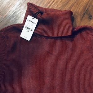 NWT Express Ribbed Elbow Sleeve Turtleneck